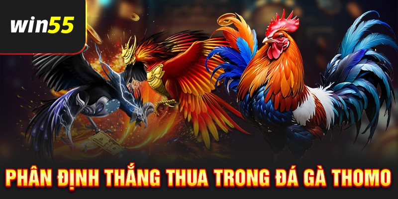 Cách phân định thắng thua trong đá gà Thomo
