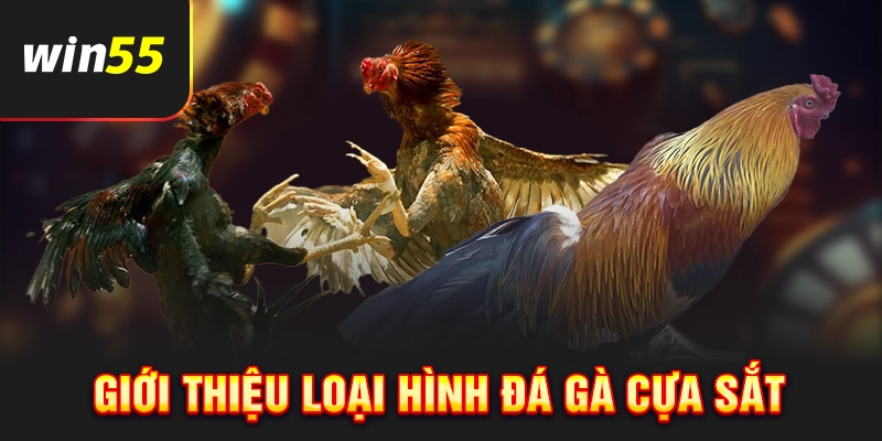 Giới thiệu đá gà cựa sắt