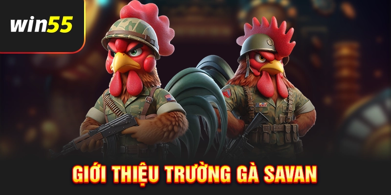 Thông tin chung về trường gà Savan