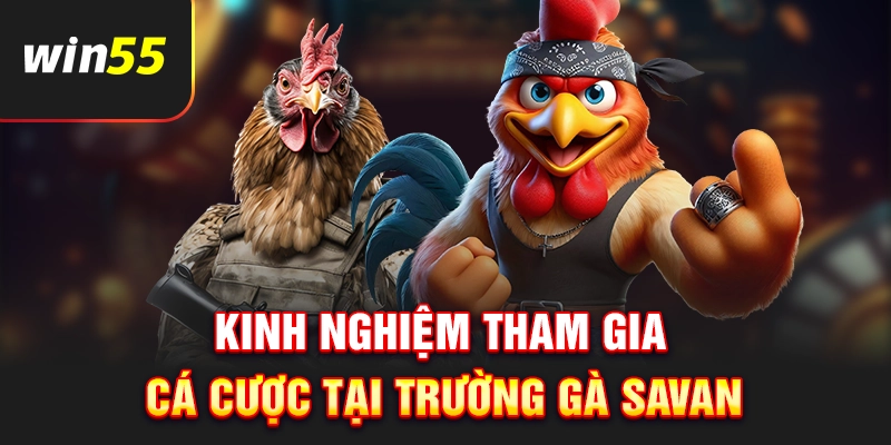 Kinh nghiệm tham gia cá cược tại trường gà Savan