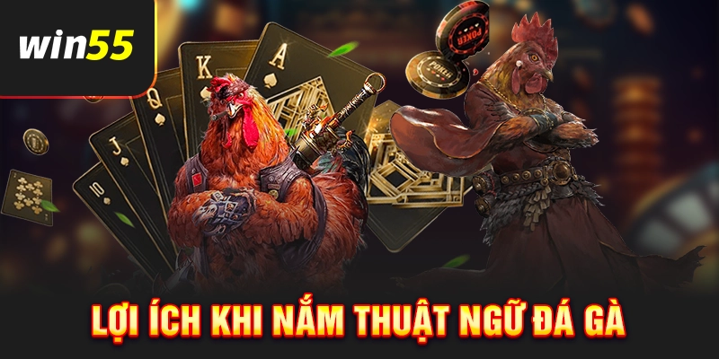 Lợi ích khi nắm rõ thuật ngữ đá gà