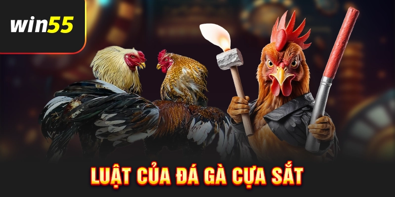 Các quy định thi đấu đá gà cựa sắt
