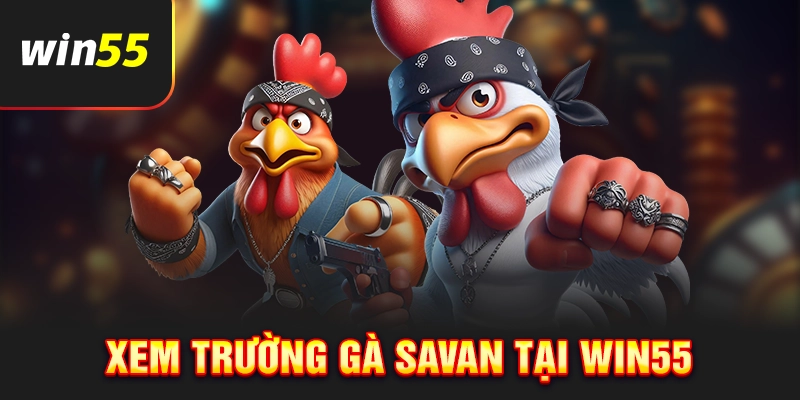 Ưu điểm khi theo dõi trường gà Savan tại Win55