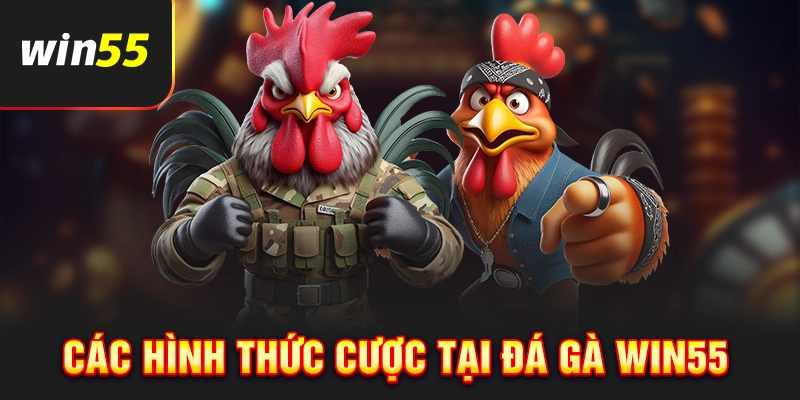 Những loại hình được đá gà Win55 cung cấp