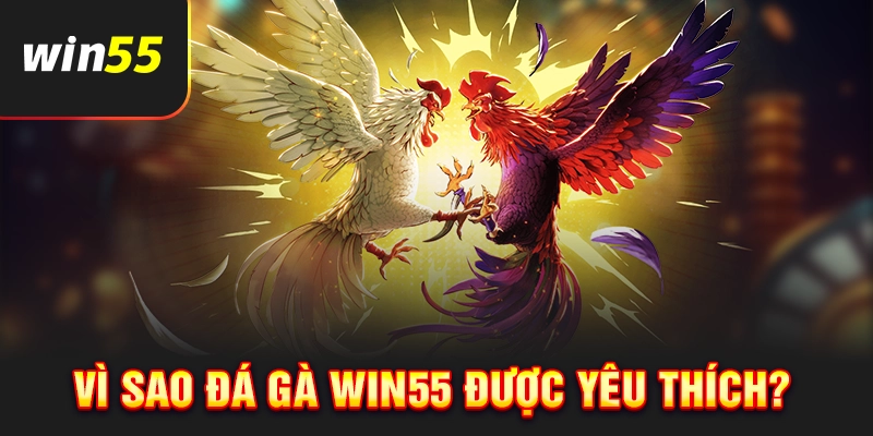 Lý do sảnh đá gà Win55 được yêu thích?
